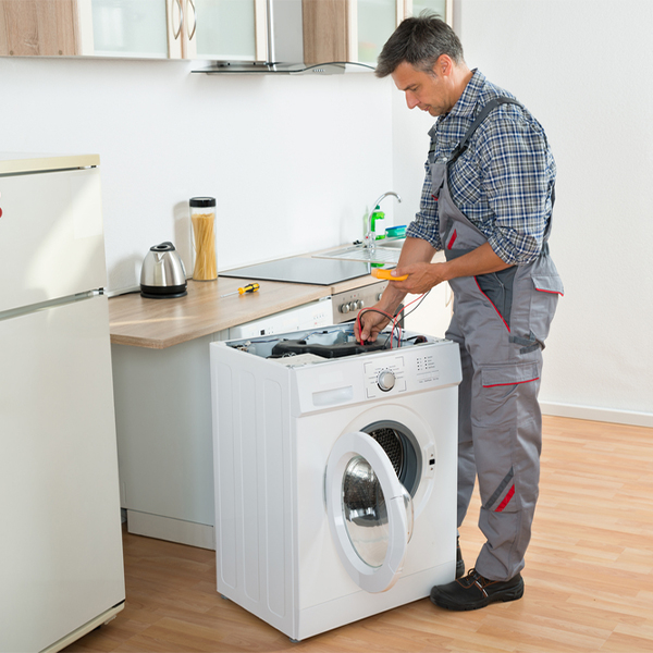 is it worth repairing an older washer or should i invest in a new one in Ellerslie